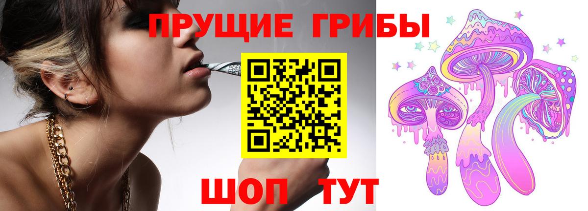 Галлюциногенные грибы Cubensis Геленджик